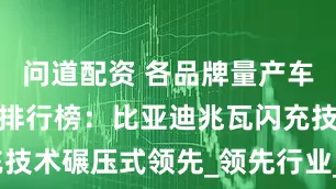 问道配资 各品牌量产车型充电功率排行榜：比亚迪兆瓦闪充技术碾压式领先_领先行业_速度_峰值
